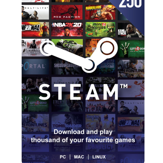 Digital Code Steam R250 Gift Voucher